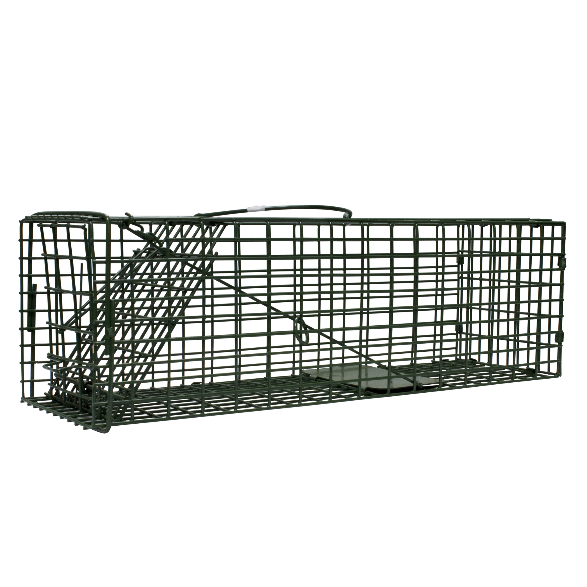 Duke Standard Single Door Rodent and Squirrel Cage Trap (1100