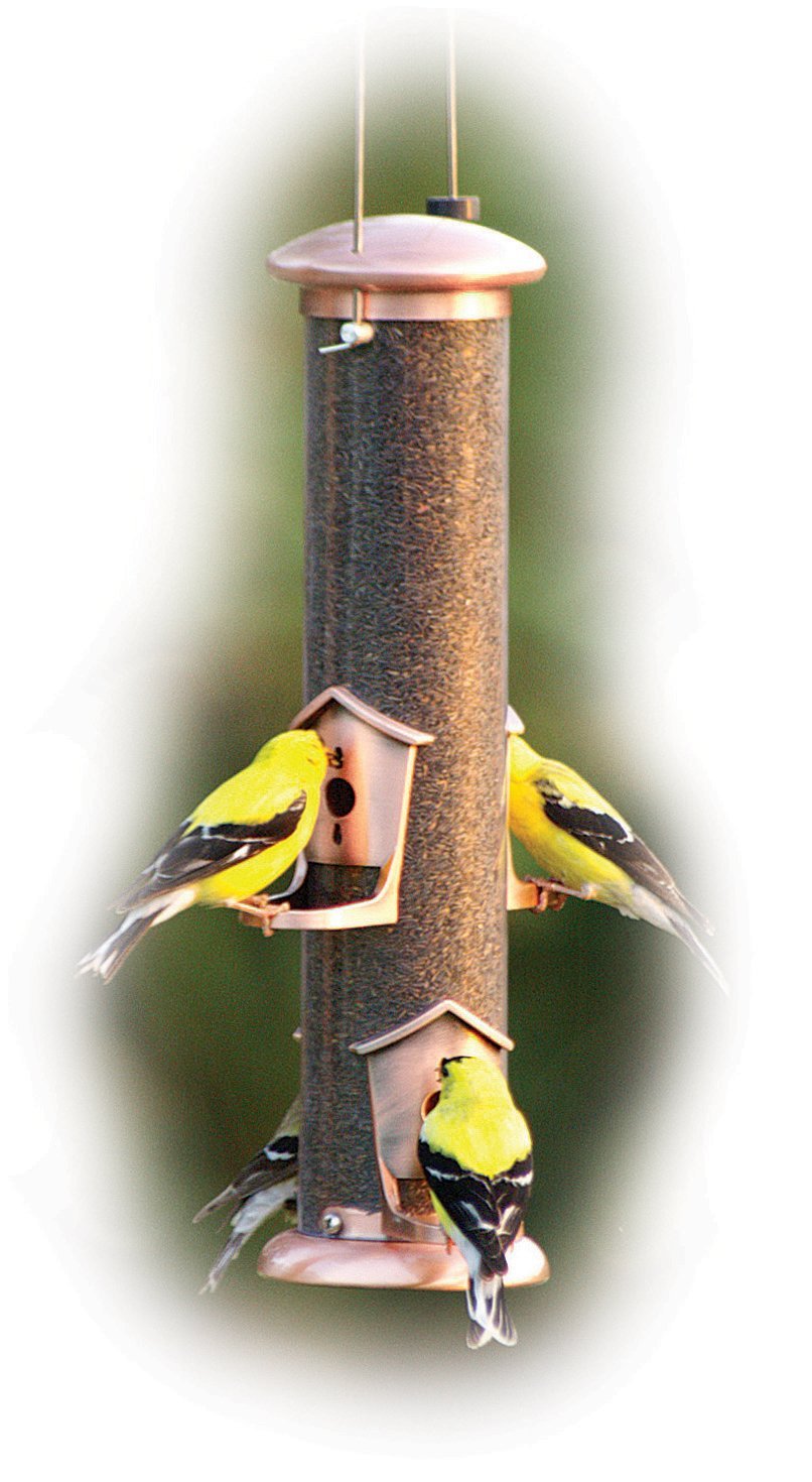 Woodlink Audubon Copper Nyjer Thistle Tube Bird Feeder 1.5 lb. (NATUBE5)