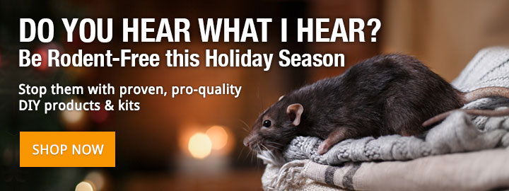 Be Rodent-Free this Holiday Season