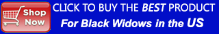 mobile black widow spider control banner