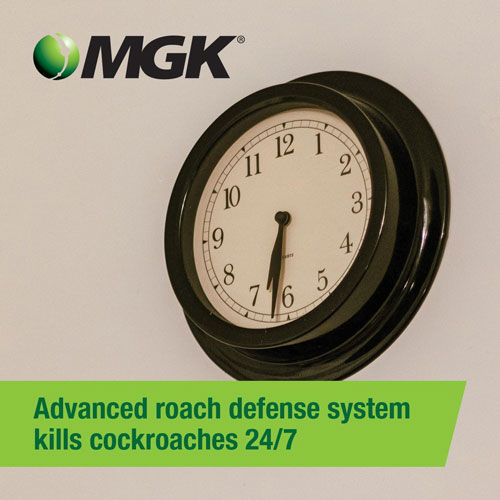 Vendetta Nitro Kills Cockroaches 24 7