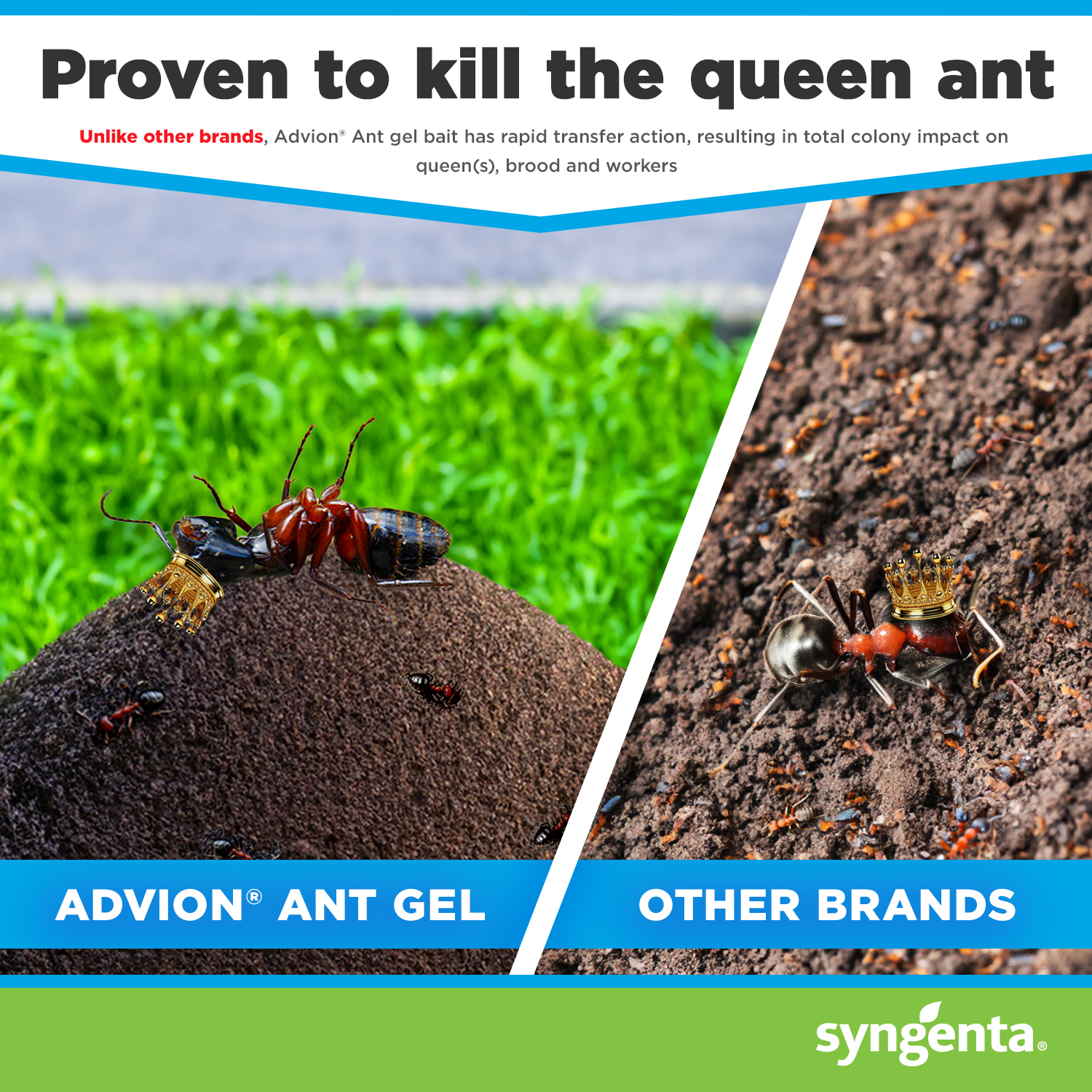 Advion Ant Bait Stations are proven to kill the queen ant, resulting in total colony elimination.