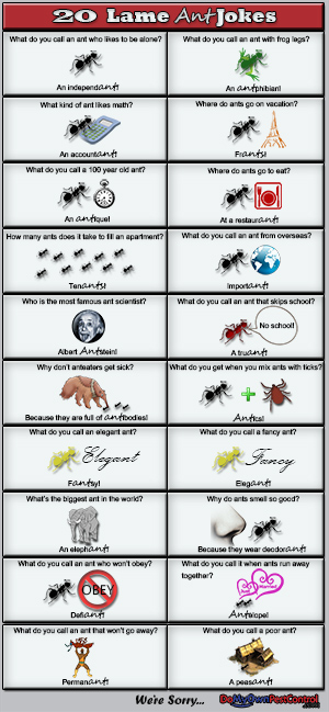 20 Ant Jokes & Puns