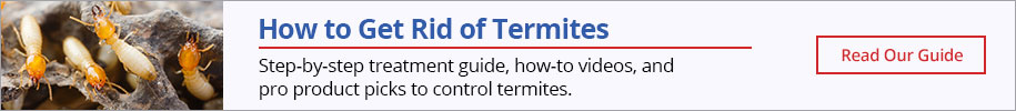 How to Get Rid of Termites -Read our Guide