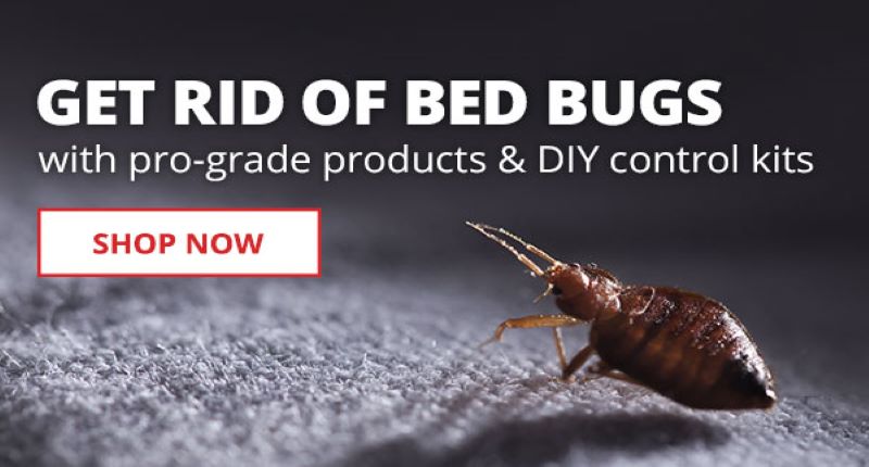 Stop Bed Bugs - Protect your home now with DIY products and kits