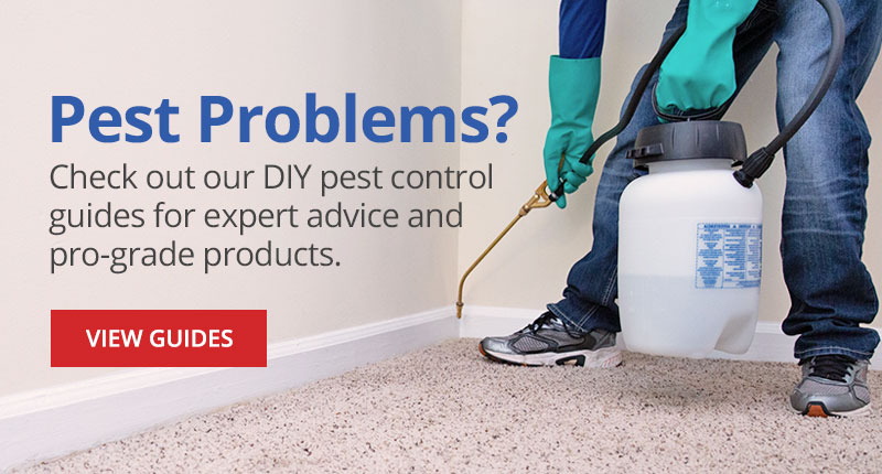 Omaha Pest Solutions - Quality Pest qualitypestcontrolomaha.com