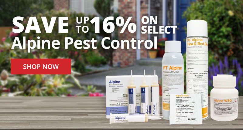 Save Up to 16 % on Select Alpine Pest Control - Shop Now