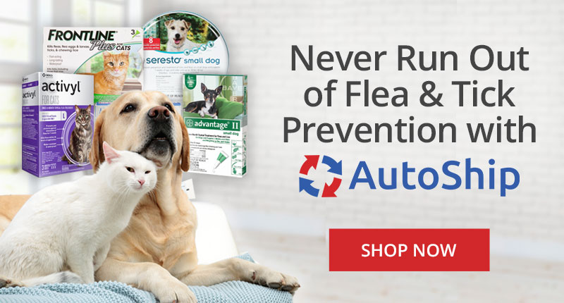 Animal Care | Pet Supplies | Farm & Livestock Animal Care | Pet Supplies | Farm & Livestock