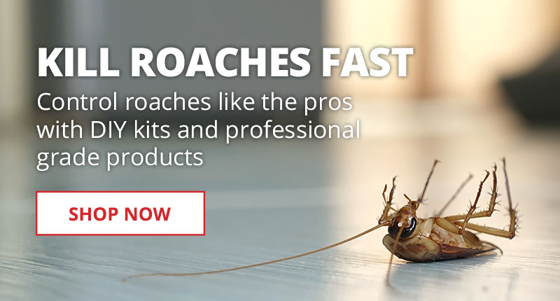Kill Roaches Fast - Control roaches like the pros with DIY kits and professional grade products