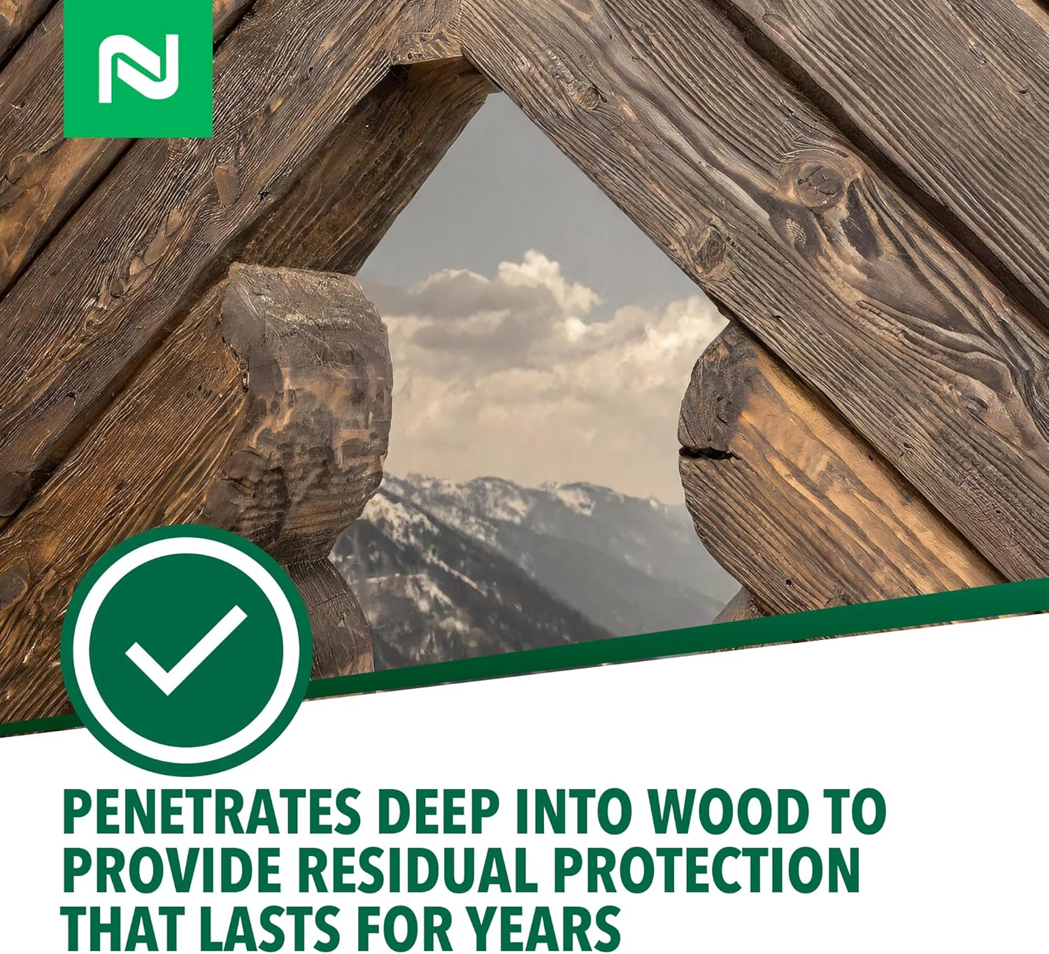 Bora-Care with Mold-Care penetrates wood and lasts for years.