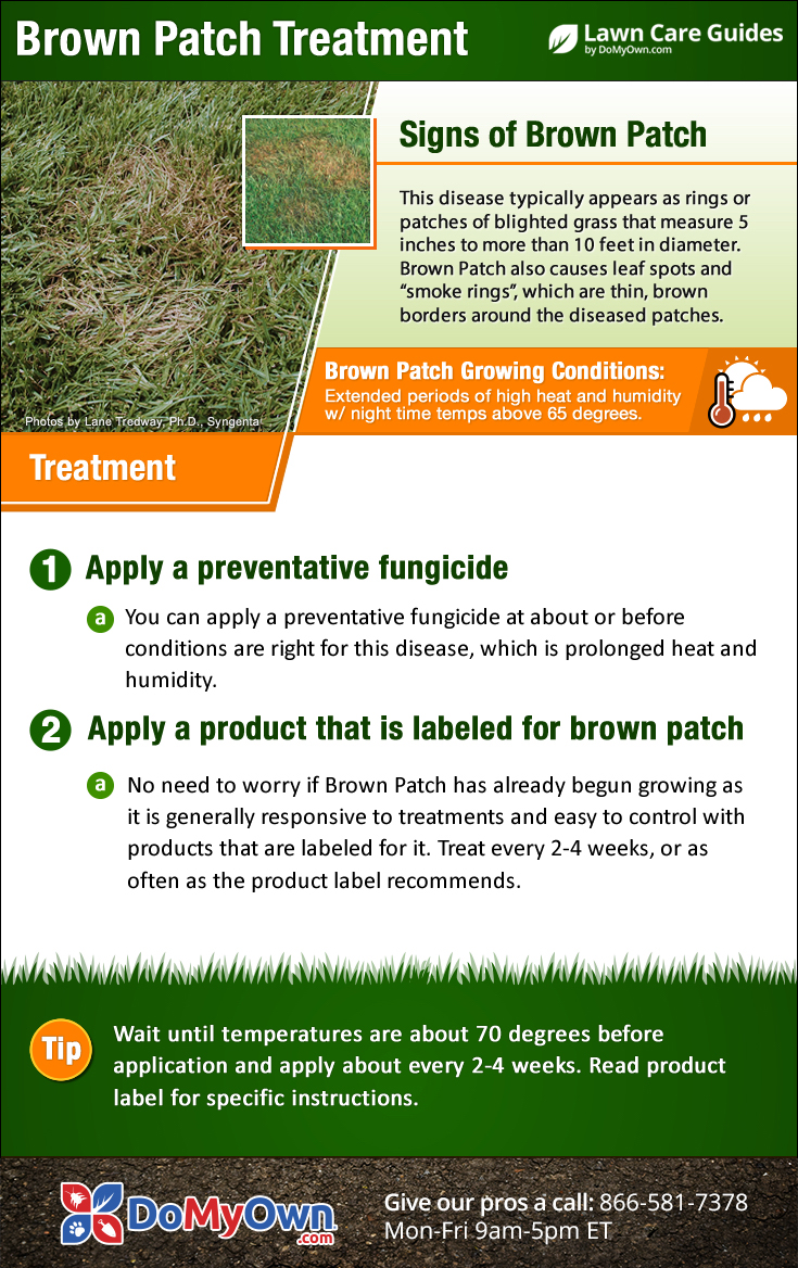 Brown Patch Treatment Guide How To Get Rid Of Brown Patch Fungus Disease