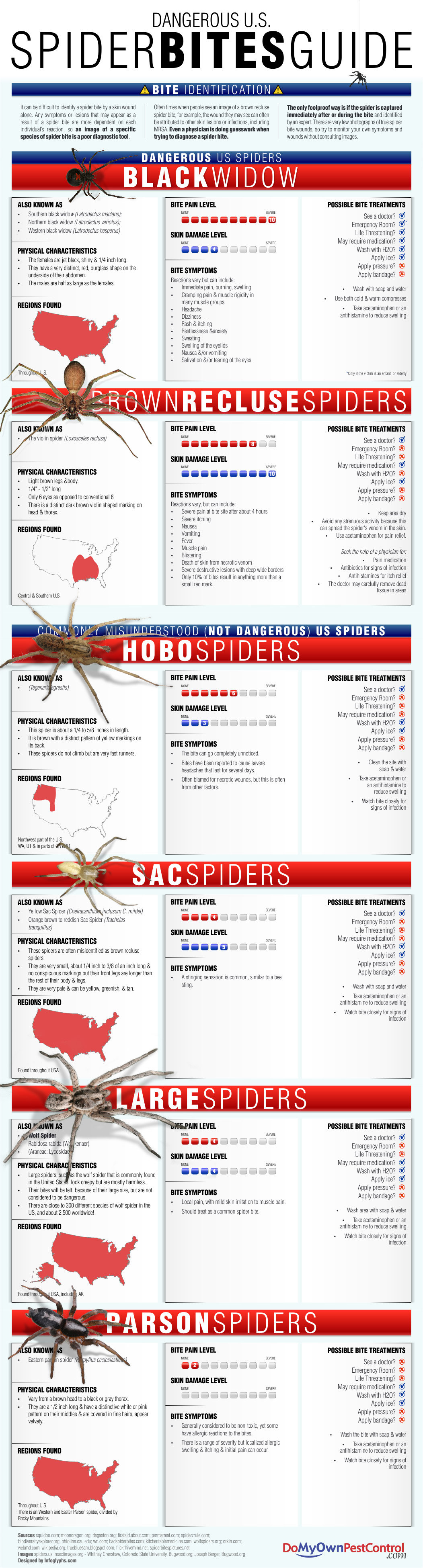 Usa Spider Bite Chart