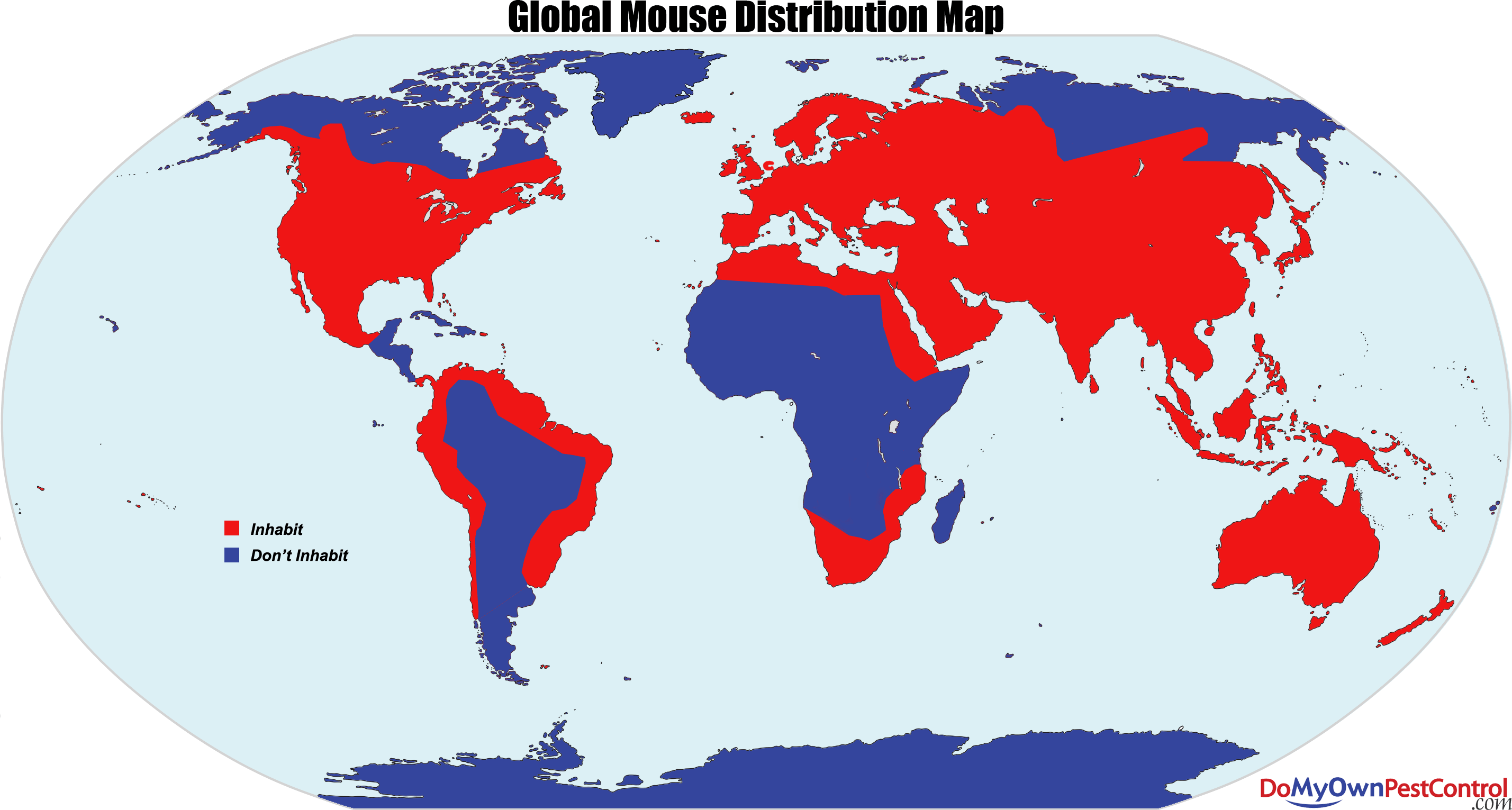 Rodent Location: Where in the World Do Rodents Live?