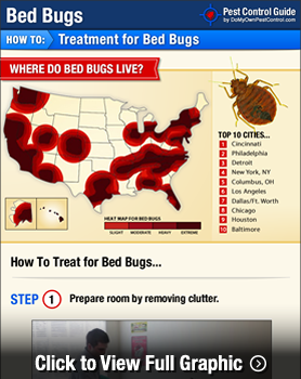 bugs bed rid bug treatment diy kill domyown yourself treat infographic remove
