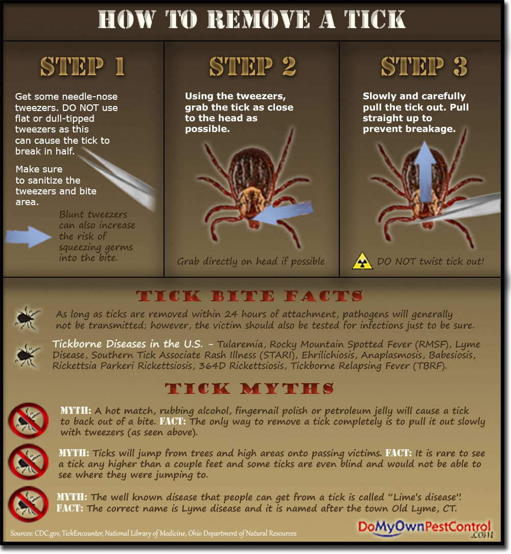 How to Remove a Tick Tick Removal