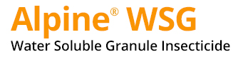 Alpine WSG
