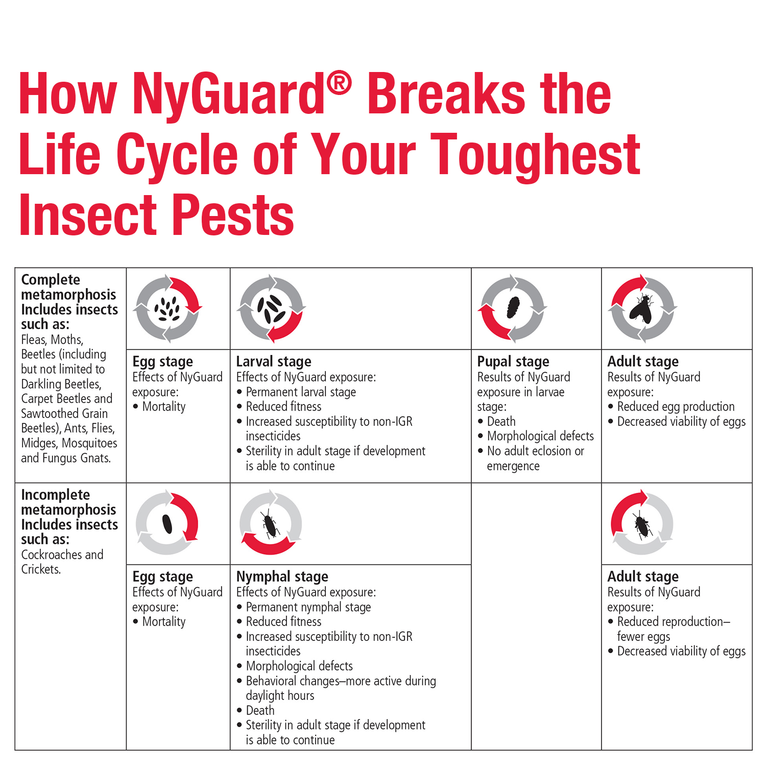 How NyGuard IGR affects the life cycle of insect pests chart