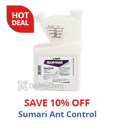 Hot Deal save 10% Off Sumari Ant Control