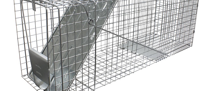 Havahart Live Trap How-To, Live Trapping, Havahart Cage