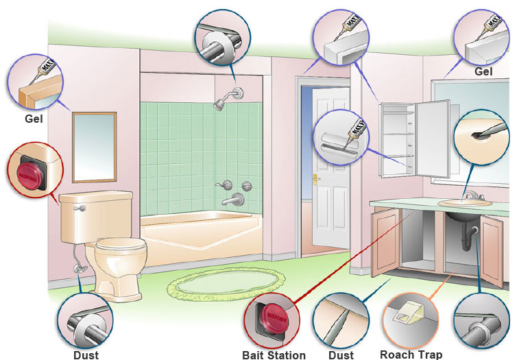 Bait Placement Guide for the bathroom