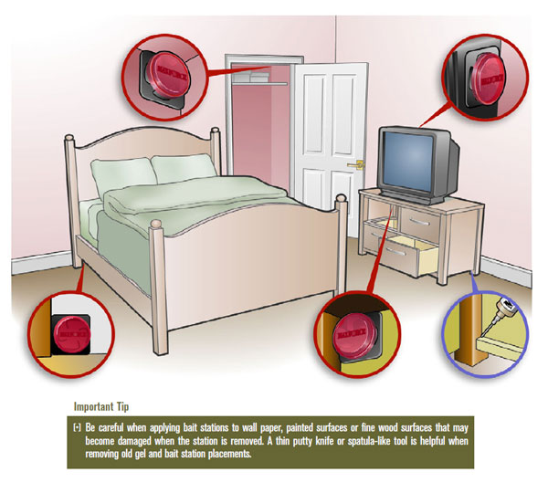 Roach Bait Placement Guide for the bedroom