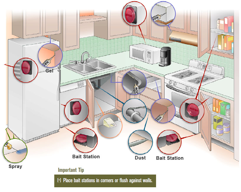 How do i get rid of roaches in my appliances Moving And Leaving The Cockroaches Behind Thriftyfun