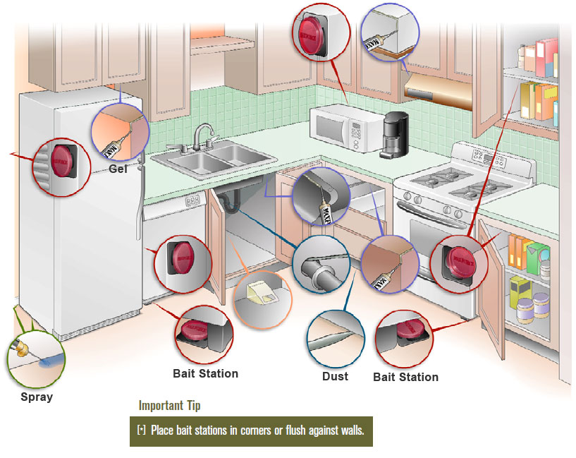 Bait placement guide for the kitchen