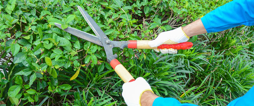 How To Keep Mosquitoes Away - Mosquito Prevention