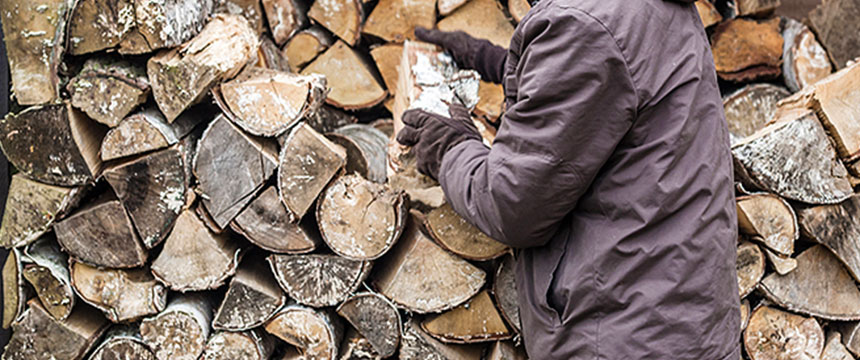 How to Keep Snakes Away - Out of Your Yard & House | Snake Prevention Guide