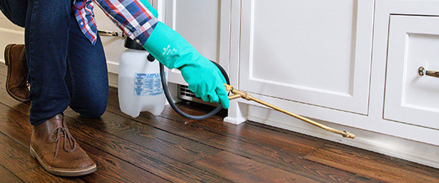 Preventive Pest Control Treatment Plan