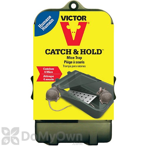 Victor Multi Catch Mouse Trap - Thumbnail 4
