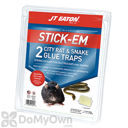 J.T. Eaton Stick - Em City Rat and Snake Glue Traps CASE