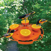 Songbird Essentials Ultimate Oriole Feeder (SE905)