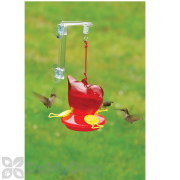 Songbird Essentials Window Red Bird Hummingbird Feeder 12 oz. (SEBCO312W)
