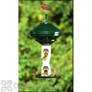 Vari - Crafts Mixed Seed Bird Feeder Without Cage and Pole 3 gal. (VCAV2M)