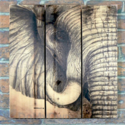 Gizaun Art Signature Series 1 African Elephant Inside/Outside Full Color Cedar Wall Art