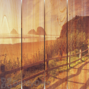 Gizaun Art Coastal Stroll Inside Outside Full Color Cedar Wall Art