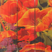 Gizaun Art Full Bloom Inside Outside Full Color Cedar Wall Art