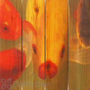 Gizaun Art Fish Lips Inside Outside Full Color Cedar Wall Art