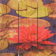 Gizaun Art Lotus Bloom Inside/Outside Full Color Cedar Wall Art