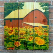Gizaun Art Sunflower Barn Inside Outside Full Color Cedar Wall Art