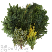 Fernhill 10 Pound Assorted Evergreens Decorating Kit 
