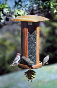Schrodt Big and Tall Songbird Lantern Feeder 16 in. (PBBSSBLBT)