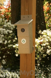 Songbird Essentials Driftwood Nesting Box (SERUBBB100D)